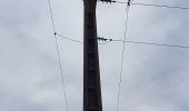 Trail Walking Rennepont - maranville - Photo 5
