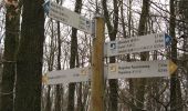 Trail On foot Windeck - Rundweg Balken Altwindeck - Photo 7