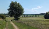 Excursión Senderismo Azay-sur-Cher - Azay-sur-Cher - Château de Nitray - Chandon - 22.3km 205m 5h10 (55mn) - 2025 05 14 - Photo 1
