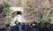 Tour Wandern Reynès - Reynes par le chemin des mas - Photo 1