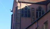 Trail Walking Ensisheim - Sur les sentiers de l'Ill Ensisheim  - Photo 13