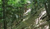 Trail Walking Romeyer - PAS DE PISON COL DES BACHASSON - Photo 5