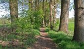 Trail On foot Enschede - Wandelnetwerk Twente - oranje route - Photo 2