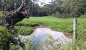 Trail Walking Sprimont - autour de dolembreux  - Photo 9
