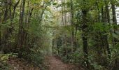 Excursión Senderismo Mittelbergheim - Boucle des châteaux d'Andlau et du Sepsbourg - Photo 2