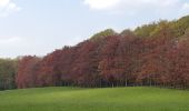 Percorso Marcia Sprimont - les forges . fraipont . andoumont . les forges - Photo 16