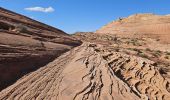 Tour Wandern Unknown - 2024 Vermillon Cliffs Edmaiers trail - Photo 20