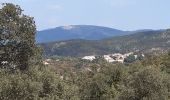 Tour Wandern Le Perthus - palissades.  la carboniere . fort de bellegrade . panissars - Photo 11