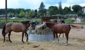 Trail Walking Correns - Le patrimoine - l'Argens - Le village - Photo 20