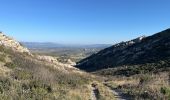 Tocht  Eyguières - Eyguieres les opies - Photo 10