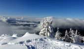 Tour Schneeschuhwandern Entremont-le-Vieux - Pointe-la Cochette-2020-12-13 - Photo 1