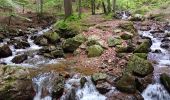 Trail Walking Spa - les eaux au sud de Spa  - Photo 10