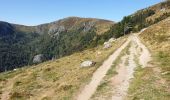 Trail Walking Stosswihr - Gaschney - Frankenthal - Hohneck - Schiessroth - Photo 3