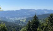 Tour Wandern Sulzern - Tanet-Gazon du Fain-Tanet - Photo 10