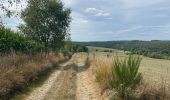 Tour Wandern Marche-en-Famenne - Verenne (marche) - Photo 2