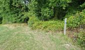 Tocht Stappen Boissy-le-Cutté - Boucle des Ravelins, circuit balisé bleu au départ de Boissy-le-Cutté - Photo 19