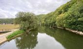 Tour Wandern Esneux - Esneux 20,5 km - Photo 17