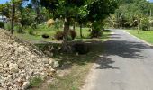 Trail Trail Sainte-Anne - St anne - Photo 2