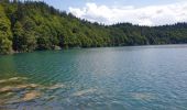 Trail Walking Besse-et-Saint-Anastaise - Le tour du Lac Pavin et montée au Puy Montchal - Photo 2