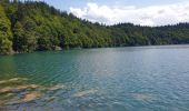 Percorso Marcia Besse-et-Saint-Anastaise - Le tour du Lac Pavin et montée au Puy Montchal - Photo 2