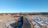 Tour Wandern Weismes - mont rigi - botrange via fagne wallonne retour via fagne polleur  - Photo 18