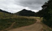 Trail Walking Besse-et-Saint-Anastaise -  Boucle Besse, lac pavin, Besse  - Photo 9