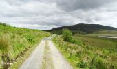 Percorso A piedi Westport-Belmullet Municipal District - Letterkeen Loop - Photo 3