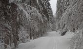 Trail Touring skiing Xonrupt-Longemer - 02-12-23 ski rando nordique chaume de Balveurche - Photo 3