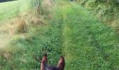 Trail Horseback riding Saint-Félicien - rochefort version longue - Photo 2