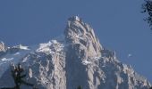 Randonnée Marche Chamonix-Mont-Blanc - La Gare des Glaciers - Plan de l'Aiguille - Photo 14