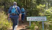 Trail Walking Saulcy-sur-Meurthe - Les roches du Kemberg - Photo 4