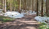 Tocht Stappen Barr - boucle hotzplatz-birkenflet-landsberg-holtzplatz - Photo 17