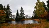 Trail Walking Baelen - 20231030 - Drossart 7.8 Km - Photo 19