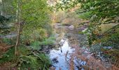 Tocht Stappen Fontainebleau - Sentier Denecourt 7 - Photo 4