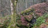 Tocht Stappen Marche-en-Famenne - Champlon  -Famenne - Photo 11