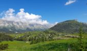 Tocht Stappen Gresse-en-Vercors - Col de l'Allimas - Photo 8