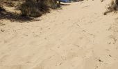 Trail Walking Saint-Cyr-sur-Mer - Dune de sable  - Photo 11