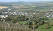 Tour Zu Fuß Schengen - Autoped Bech-Kleinmacher - Photo 7