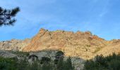 Tocht Stappen Asco - Asco la bergerie de vallonne - Photo 9