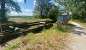 Tour Radtourismus  Avignonet-Lauragais - Canal du Midi - Photo 9