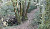 Trail Walking Halsou - HALSOU Arraia  