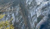 Trail  Saint-Julien-en-Vercors - Moulin marquis  - Photo 13