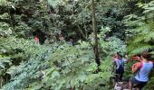 Randonnée Marche Le Morne-Vert - Boucle de mont joly - Photo 1