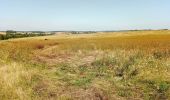 Tocht Stappen Pargny-la-Dhuys - Pargny la Dhuys du 24-08-2021 - Photo 2