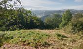 Excursión Senderismo Neuvéglise-sur-Truyère - près du camping Le Belvédère  - Photo 3