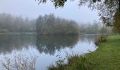 Trail Walking Contre - Contre Bergicourt  - Photo 2