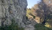 Trail Walking Banyuls-sur-Mer - puig de sallfort depuis coll de vallauria - Photo 10