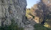 Percorso Marcia Banyuls-sur-Mer - puig de sallfort depuis coll de vallauria - Photo 10