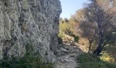 Randonnée Marche Banyuls-sur-Mer - puig de sallfort depuis coll de vallauria - Photo 10