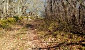 Excursión Senderismo Salviac - 19,9km dans le Quercy  - Photo 4